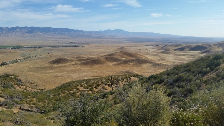 20160602_083835.jpg image